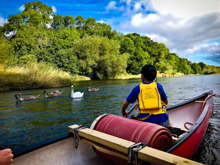 racquety farm family canoe adventure river wye swan nature wildlife